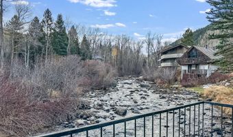 1050 Waters Ave 9, Aspen, CO 81611