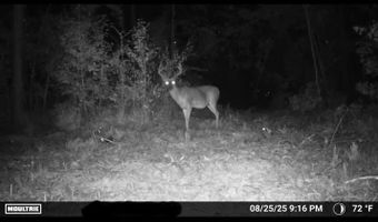 644 Ash-harrel Loop, Abbeville, GA 31001