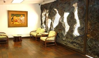 430 Keoniana St 1209, Honolulu, HI 96815
