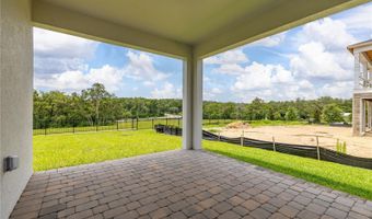 3228 ROSEVILLE Dr, Apopka, FL 32712