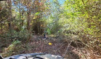 0 County Road 127, Banks, AL 36005