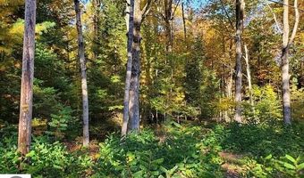 0 Scenic River Dr, Alger, MI 48610