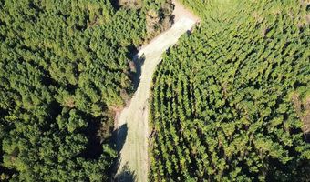 1228 River Rd, Ariton, AL 36311