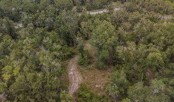 TBD 73rd Trl, Bell, FL 32619