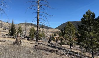 83 Nursery Creek Rd, Boulder, MT 59632