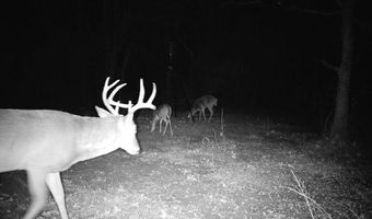 8794 Western Dr, Beggs, OK 74421