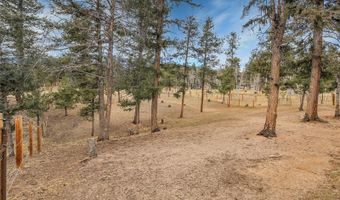 64 Elk Horn Ct, Bailey, CO 80421