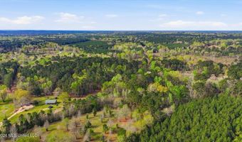 Harrisville Braxton Road, Braxton, MS 39044