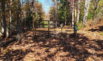 Lot 2 Tower Hill Rd, Appomattox, VA 24522