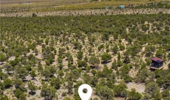 155 Oak Trail Cir, Cold Creek, NV 89124