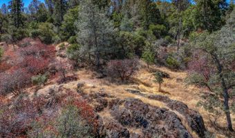 1244 Stallion Way, Angels Camp, CA 95222