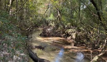 971 Somerset Rd SE, Bogue Chitto, MS 39629