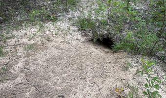 20 Ac Keyser Mill Rd, Baker, FL 32531