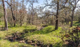 350 BREWER Rd, Appleton, WA 98602