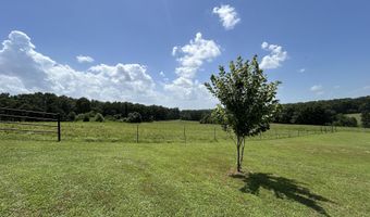 5398 County Road S5-307, Ava, MO 65608