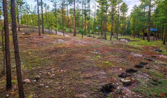 7 Eric Ln, Alpine, AZ 85920