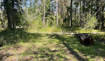 54785 McKenzie River Dr, Blue River, OR 97413