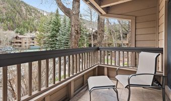 610 S West End St D203, Aspen, CO 81611