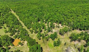210 County Road 320, Alton, MO 65606