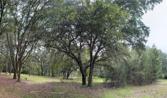 Tbd NW 67TH BOULEVARD, Alachua, FL 32615