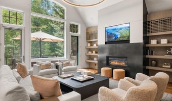 971 Ute Ave, Aspen, CO 81611