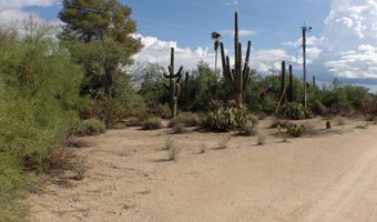 31607 N 64TH St, Cave Creek, AZ 85331