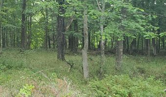V/L 20AC Monaghan Point Road, Alpena, MI 49707