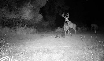 560 Th Ave, Albia, IA 52531