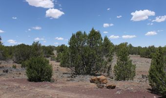 N8190, Concho, AZ 85924