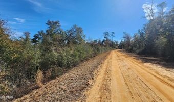 Fargo Drive lot 14, Alford, FL 32420
