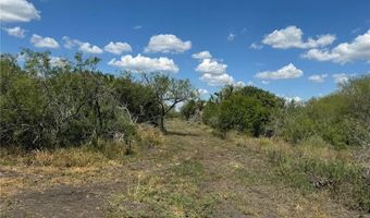 297 FM 2044, Alice, TX 78332