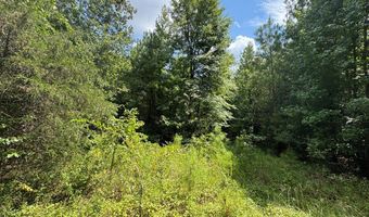 1324 Highway 81 N, Calhoun Falls, SC 29628