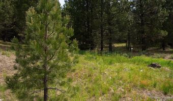 63 Price Loop, Cascade, ID 83611