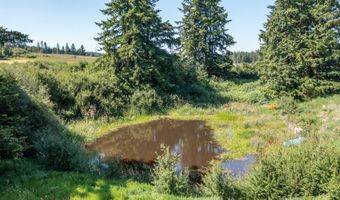 25641 S SCHOCKLEY Rd, Beavercreek, OR 97004