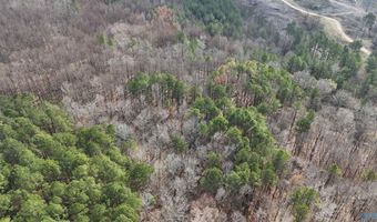 002 Toney Dr, Altoona, AL 35952