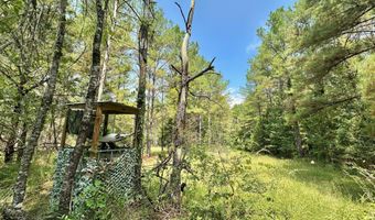 1 Champion Hill Rd, Bolton, MS 39041