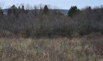 295 Shellstone Rd, Amsterdam, NY 12010