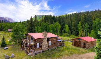 2585 COUNTY ROAD 12, Alma, CO 80420