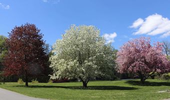 65 Hillwinds North Rd, Brattleboro, VT 05301