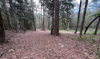 Driftwood Ln, Andalusia, AL 36421