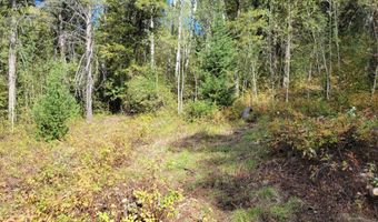 LOT 22 TRAIL RIDGE ROAD, Alpine, WY 83128