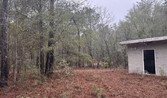 Ethridge Drive, Andrews, SC 29510