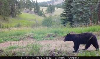 TBD Old Flowers Road, Bellvue, CO 80512