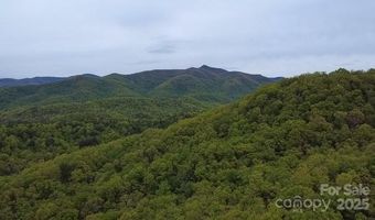 25 Sweetwater Ridge Rd, Balsam Grove, NC 28708