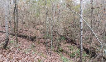 0 VENABLE Rd, Argo, AL 35173