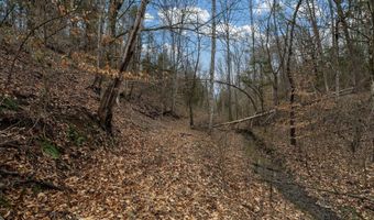 Smithtown Road, Afton, TN 37616
