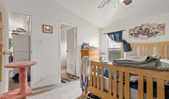 203 E Tamarack Cir, Battlement Mesa, CO 81635
