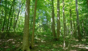 1379 Sandusky Rd, Albany, OH 45710