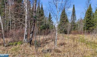 8849 Hwy 25, Angora, MN 55703