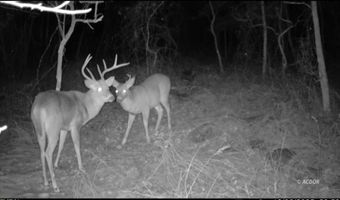 9888 Salem Rd, Athens, OH 45701